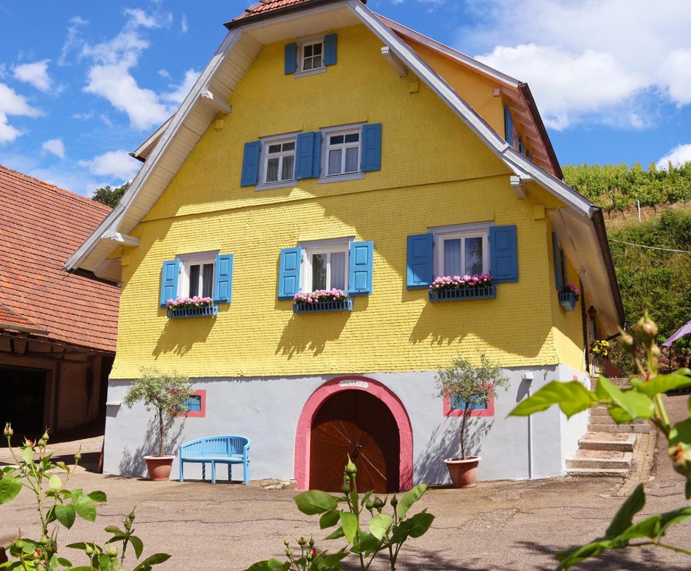 Winzerhof Maennle Apartment Oberkirch  Ngoại thất bức ảnh